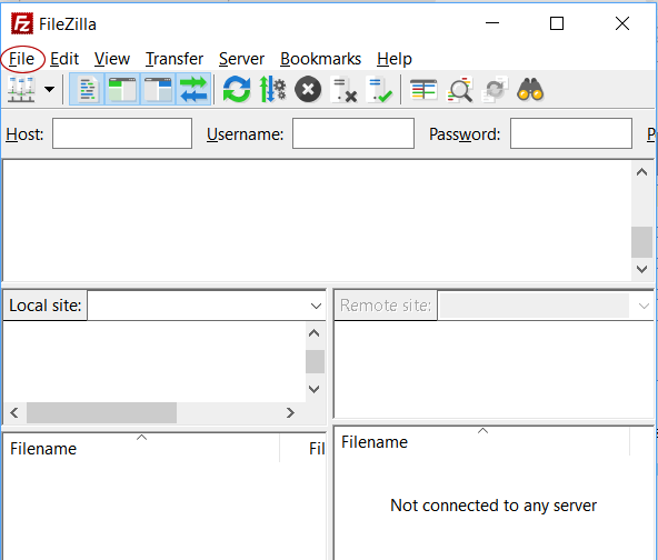 Filezilla Initial Screen
